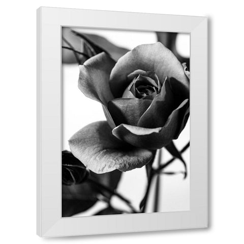 Let Me Know White Modern Wood Framed Art Print by Stella, CYAN