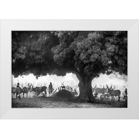 The Mango Tree White Modern Wood Framed Art Print by Cole, Trevor