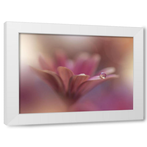 Untitled White Modern Wood Framed Art Print by Nan, Juliana