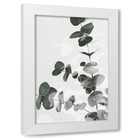Eucalyptus Creative 04 White Modern Wood Framed Art Print by 1x Studio III