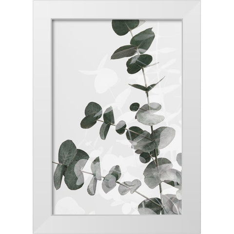Eucalyptus Creative 04 White Modern Wood Framed Art Print by 1x Studio III