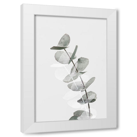 Eucalyptus Creative 05 White Modern Wood Framed Art Print by 1x Studio III