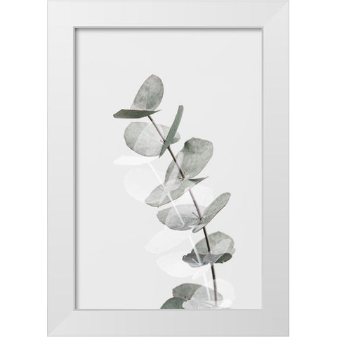 Eucalyptus Creative 05 White Modern Wood Framed Art Print by 1x Studio III