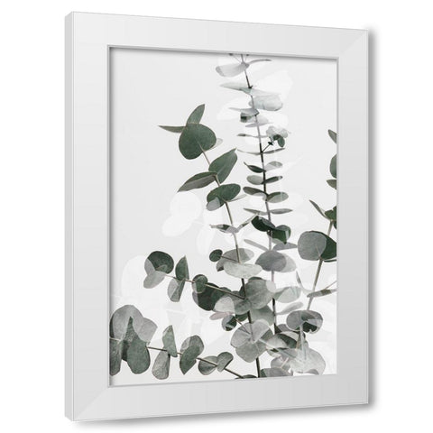 Eucalyptus Creative 06 White Modern Wood Framed Art Print by 1x Studio III