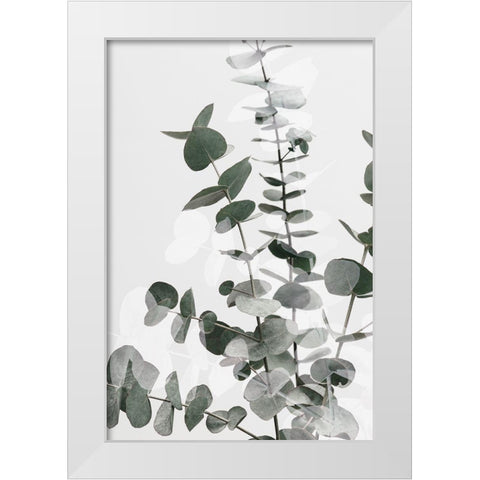 Eucalyptus Creative 06 White Modern Wood Framed Art Print by 1x Studio III