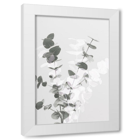 Eucalyptus Creative 08 White Modern Wood Framed Art Print by 1x Studio III