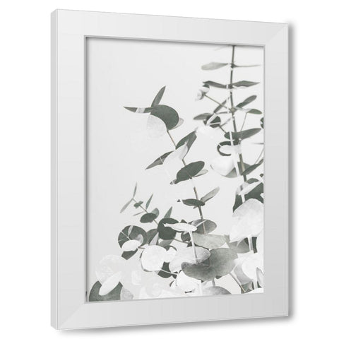 Eucalyptus Creative 10 White Modern Wood Framed Art Print by 1x Studio III