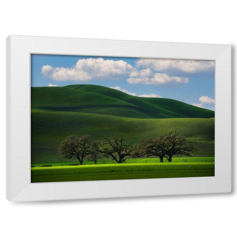 Bliss White Modern Wood Framed Art Print by Sapkal, Tanmay