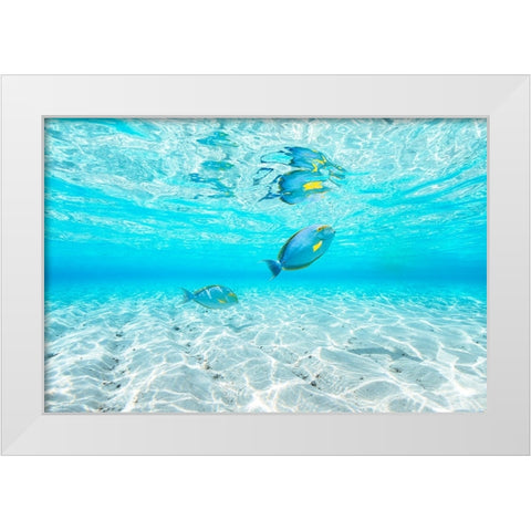 Blue Lagoon White Modern Wood Framed Art Print by Gabriel, Barathieu