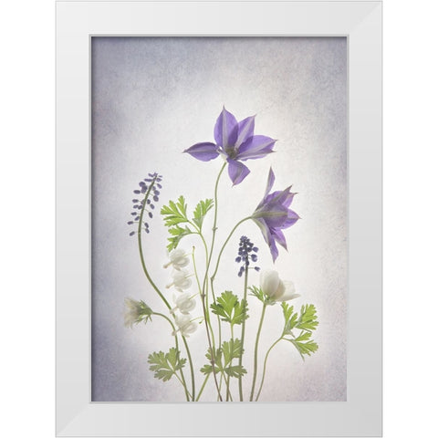 Spring White Modern Wood Framed Art Print by L., Binbin