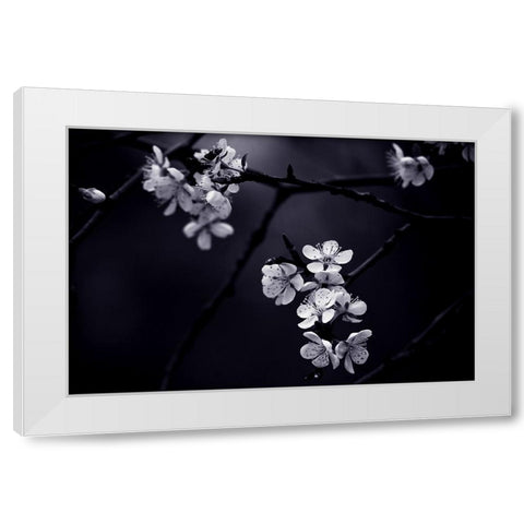 Qpetite Fleur De Mes Nuitsq White Modern Wood Framed Art Print by CelineM