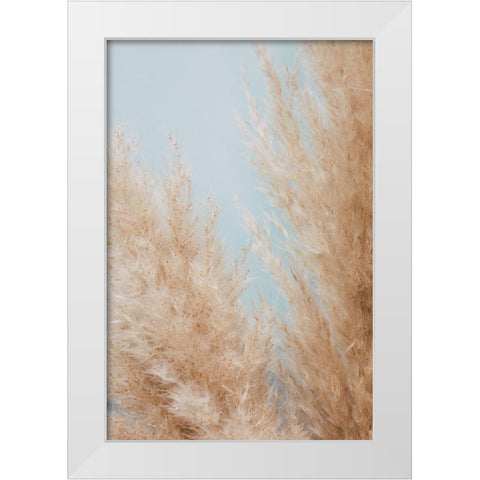 Pampas Close 01 White Modern Wood Framed Art Print by 1x Studio III