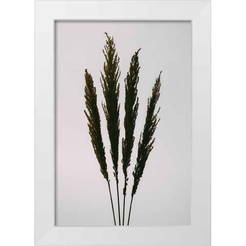 Dried Grass White Modern Wood Framed Art Print by 1x Studio III