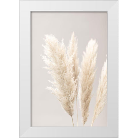 Pampas Grass Grey 02 White Modern Wood Framed Art Print by 1x Studio III