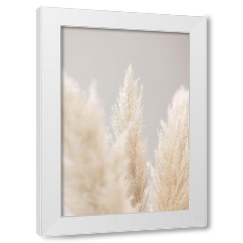 Pampas Grass Grey 04 White Modern Wood Framed Art Print by 1x Studio III