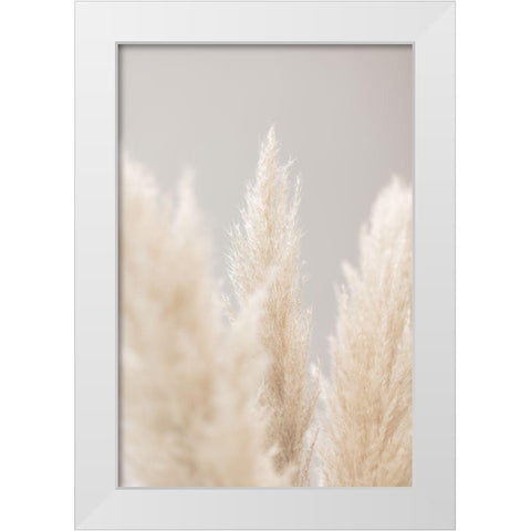 Pampas Grass Grey 04 White Modern Wood Framed Art Print by 1x Studio III