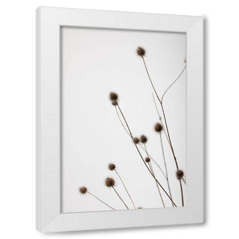 Thistle Grey 01 White Modern Wood Framed Art Print by 1x Studio III