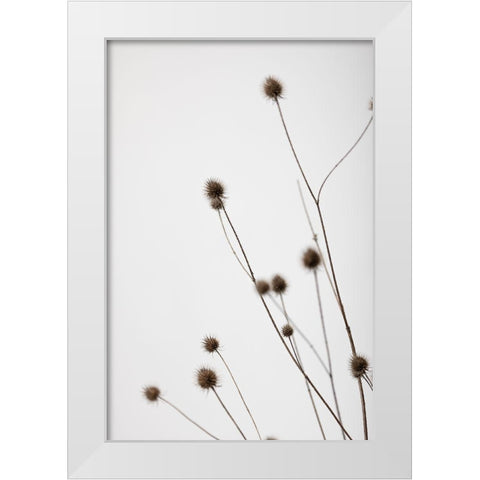 Thistle Grey 01 White Modern Wood Framed Art Print by 1x Studio III