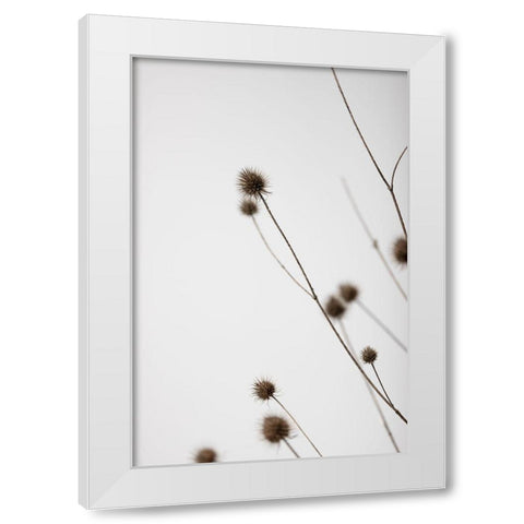 Thistle Grey 03 White Modern Wood Framed Art Print by 1x Studio III