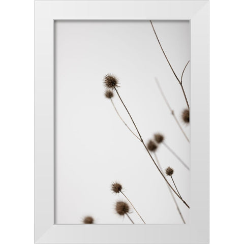 Thistle Grey 03 White Modern Wood Framed Art Print by 1x Studio III
