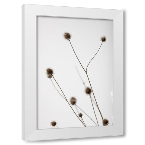 Thistle Grey 04 White Modern Wood Framed Art Print by 1x Studio III
