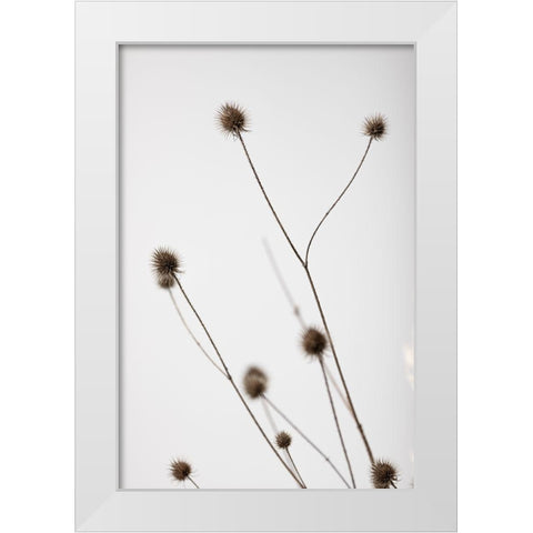 Thistle Grey 04 White Modern Wood Framed Art Print by 1x Studio III