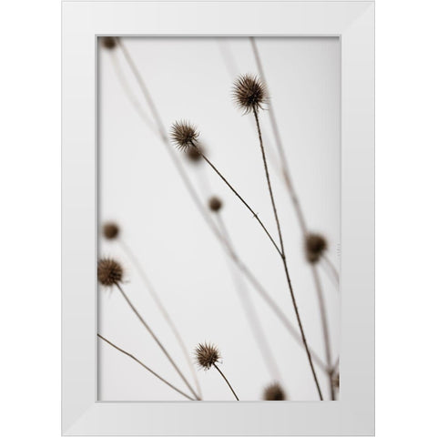 Thistle Grey 05 White Modern Wood Framed Art Print by 1x Studio III