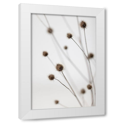 Thistle Grey 06 White Modern Wood Framed Art Print by 1x Studio III