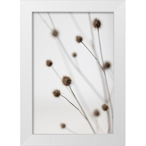 Thistle Grey 06 White Modern Wood Framed Art Print by 1x Studio III
