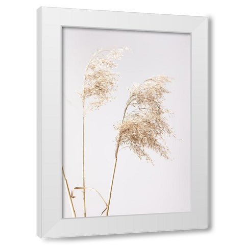Reed Grass Grey  01 White Modern Wood Framed Art Print by 1x Studio III