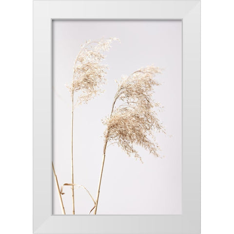 Reed Grass Grey  01 White Modern Wood Framed Art Print by 1x Studio III