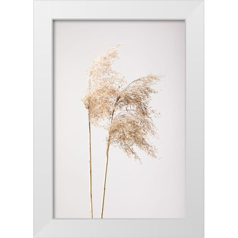Reed Grass Grey 02 White Modern Wood Framed Art Print by 1x Studio III