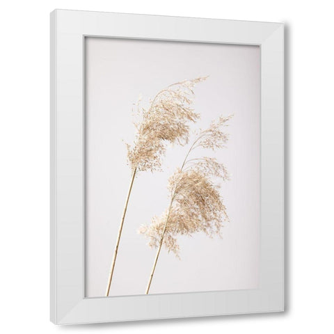 Reed Grass Grey 05 White Modern Wood Framed Art Print by 1x Studio III