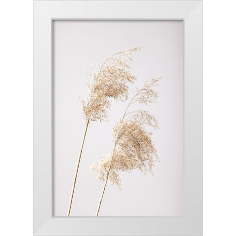 Reed Grass Grey 05 White Modern Wood Framed Art Print by 1x Studio III