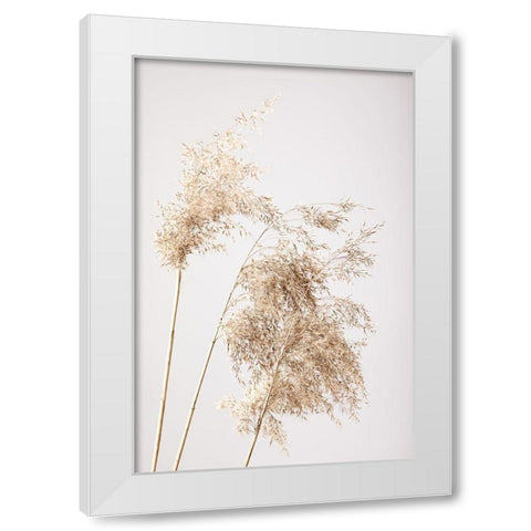 Reed Grass Grey 07 White Modern Wood Framed Art Print by 1x Studio III