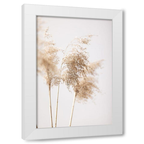 Reed Grass Grey 09 White Modern Wood Framed Art Print by 1x Studio III