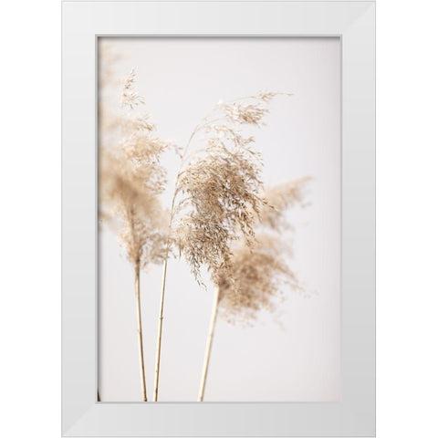 Reed Grass Grey 09 White Modern Wood Framed Art Print by 1x Studio III