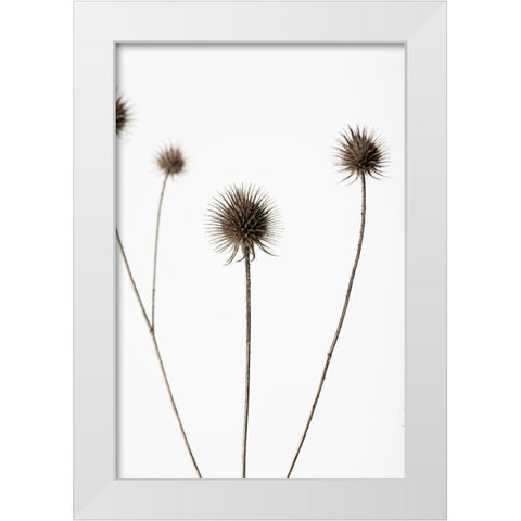 Thistle Grey 07 White Modern Wood Framed Art Print by 1x Studio III