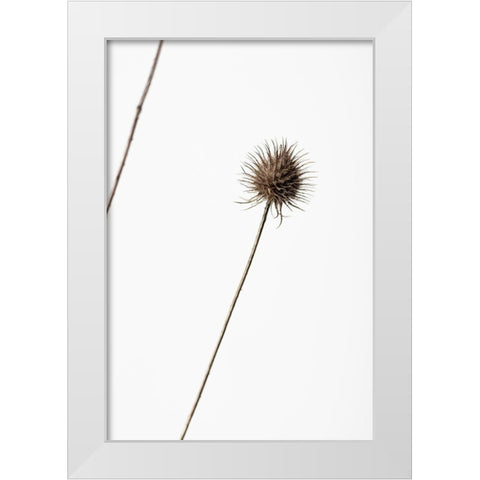 Thistle Grey 08 White Modern Wood Framed Art Print by 1x Studio III