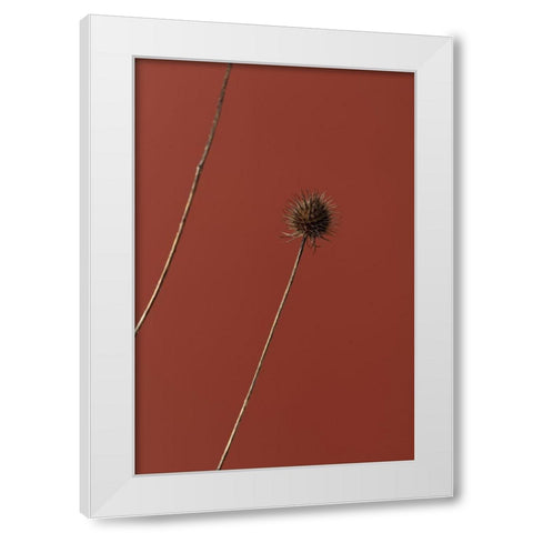 Thistle Rust Red 03 White Modern Wood Framed Art Print by 1x Studio III