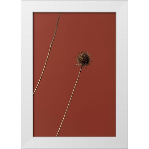 Thistle Rust Red 03 White Modern Wood Framed Art Print by 1x Studio III