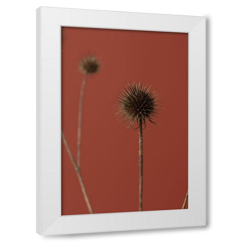 Thistle Rust Red 04 White Modern Wood Framed Art Print by 1x Studio III