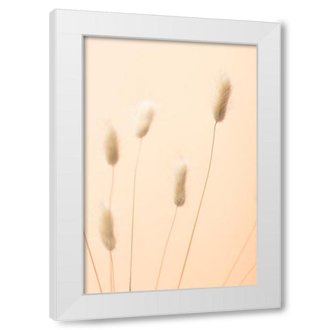 Bunny Grass Peach 05 White Modern Wood Framed Art Print by 1x Studio III