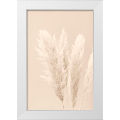 Pampas Grass Beige 02 White Modern Wood Framed Art Print by 1x Studio III