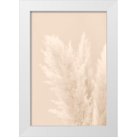 Pampas Grass Beige 03 White Modern Wood Framed Art Print by 1x Studio III