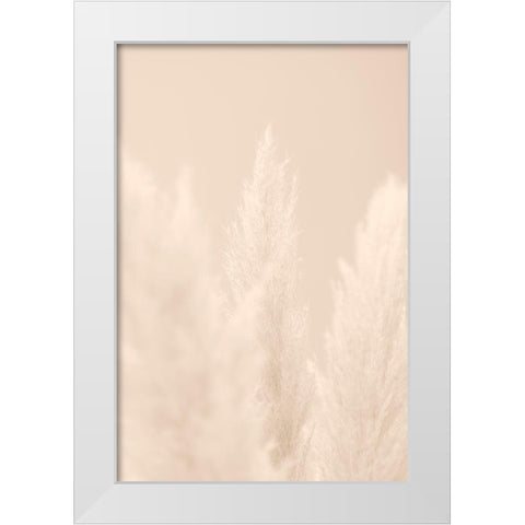 Pampas Grass Beige 04 White Modern Wood Framed Art Print by 1x Studio III