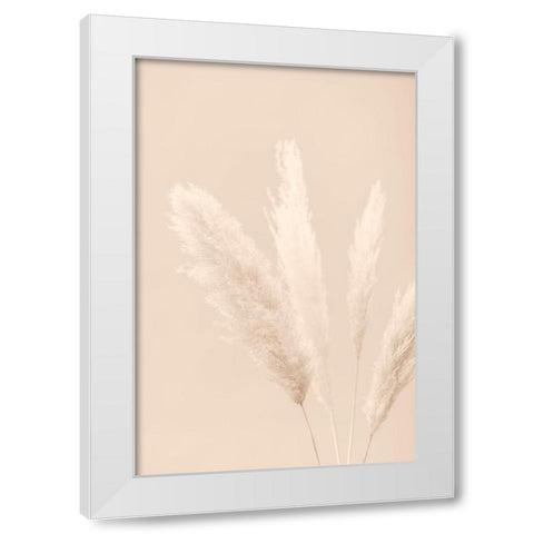 Pampas Grass Beige 06 White Modern Wood Framed Art Print by 1x Studio III