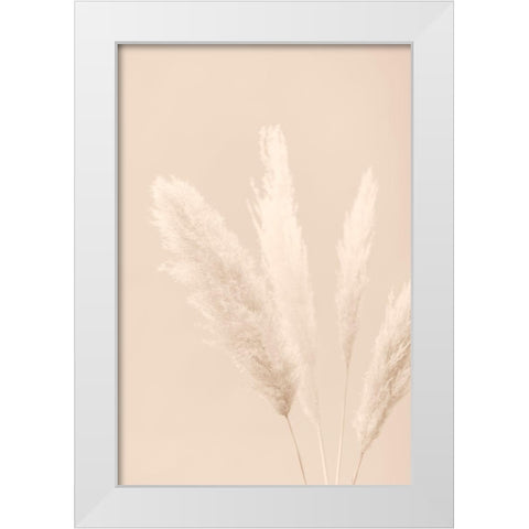 Pampas Grass Beige 06 White Modern Wood Framed Art Print by 1x Studio III