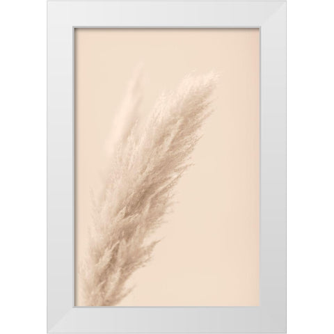 Pampas Grass Beige 07 White Modern Wood Framed Art Print by 1x Studio III