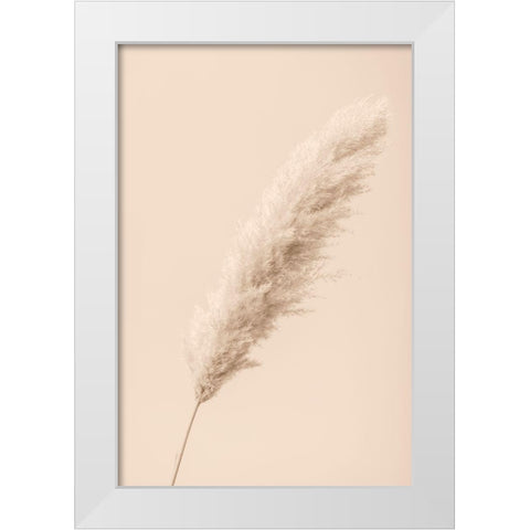 Pampas Grass Begie 14 White Modern Wood Framed Art Print by 1x Studio III